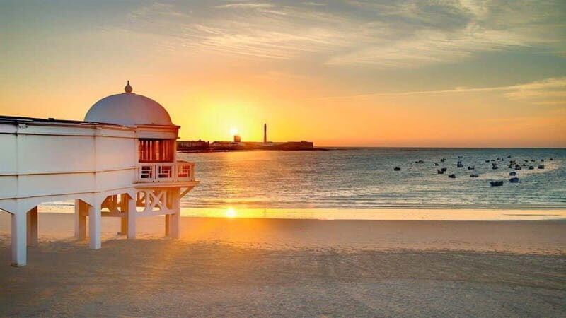 Private Healthy Food Experience and Walking Tour in Cadiz - Discover Cádiz through a Food and Walking Lens  