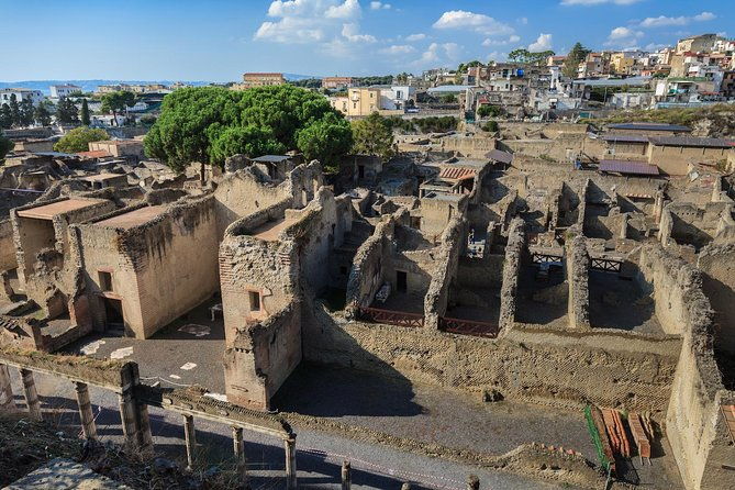 private-herculaneum-guided-tour-from-sorrento