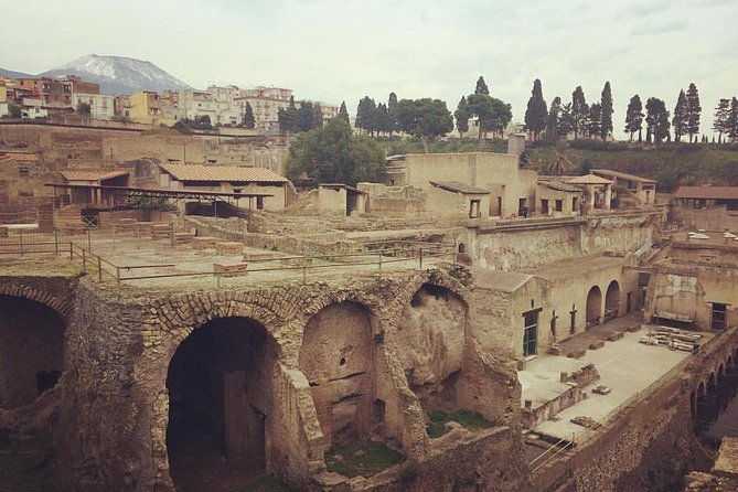 private-herculaneum-guided-tour-with-an-archeologist