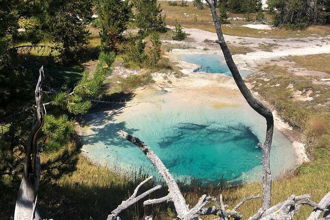 private-hidden-gems-of-yellowstone-lunch-w-family-friendly-hikes-included