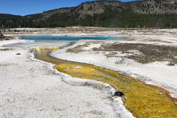 private-hidden-gems-of-yellowstone-lunch-w-family-friendly-hikes-included
