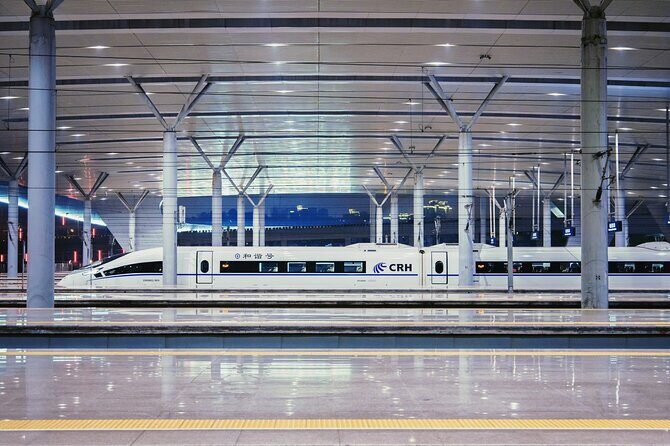 Private High-speed Train Departure Transfer: Hotel to Xi'an Bei (North) Station - Key Points