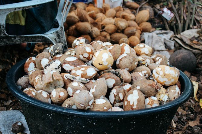 private-higuey-cultural-tour-from-punta-cana-half-day