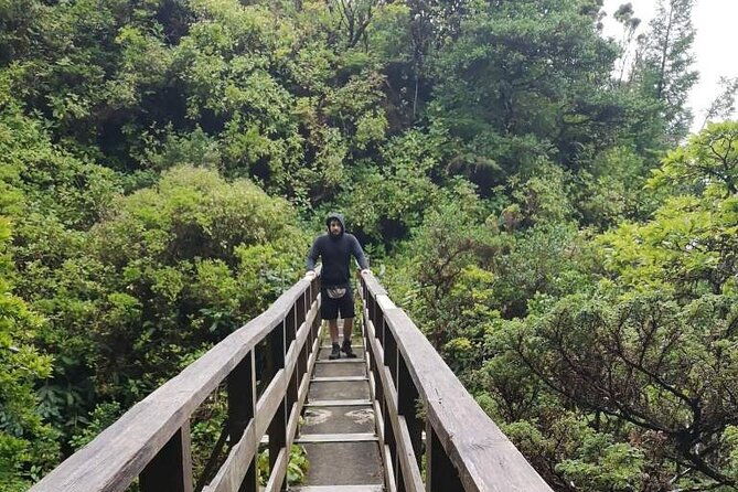 private-hike-along-the-levada