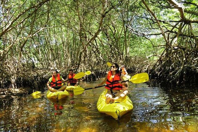 private-hike-and-kayak-tour-in-the-los-haitises-national-park