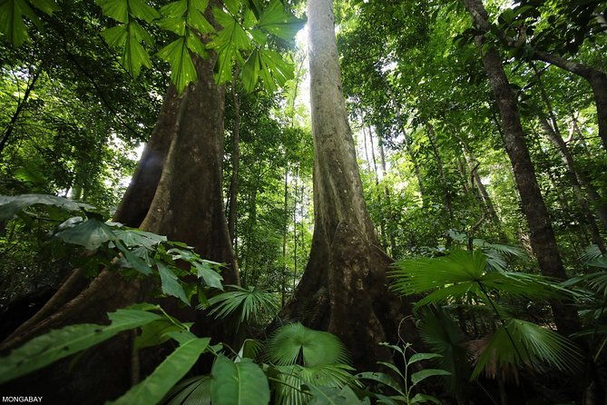 private-hike-and-kayak-tour-in-the-los-haitises-national-park