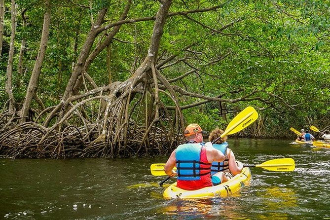 private-hike-and-kayak-tour-in-the-los-haitises-national-park