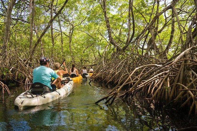 private-hike-and-kayak-tour-in-the-los-haitises-national-park