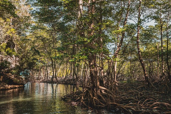 private-hike-and-kayak-tour-in-the-los-haitises-national-park
