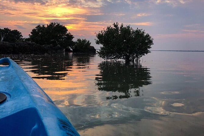 private-hike-and-kayak-tour-in-the-los-haitises-national-park