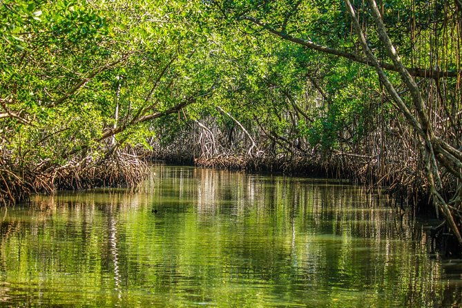 private-hike-and-kayak-tour-in-the-los-haitises-national-park