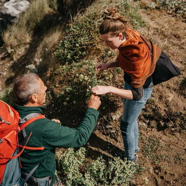 Private Hike: Brecon Beacons Henrhydd Falls Plus Foraging - Introduction to the Brecon Beacons Foraging Hike