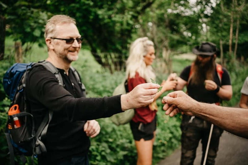 Private Hike: Brecon Beacons Henrhydd Falls Plus Foraging - What’s Included and What to Bring
