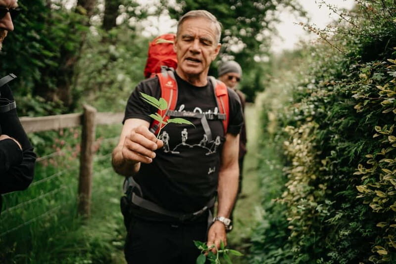 Private Hike: Brecon Beacons Henrhydd Falls Plus Foraging - Final Thoughts