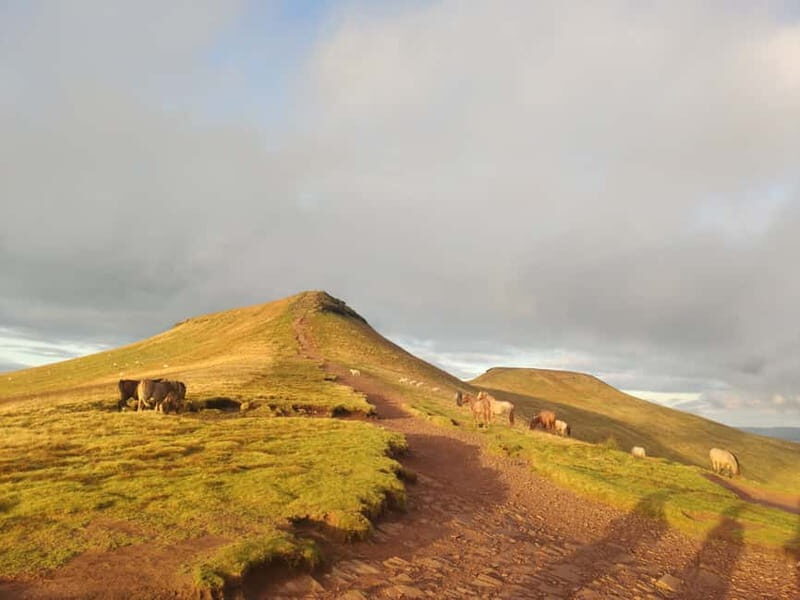 Private Hike: Pen y Fan Guided Sunset Hike Brecon Beacons - Final Thoughts