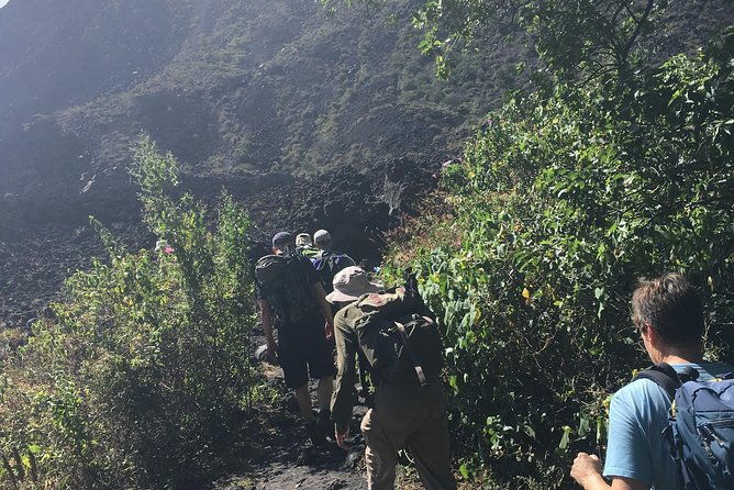 private-hike-to-active-izalco-and-cerro-verde-volcanoes-2-volcanoes-in-one-day