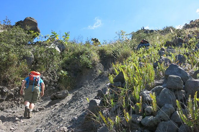 private-hike-to-active-izalco-and-cerro-verde-volcanoes-2-volcanoes-in-one-day
