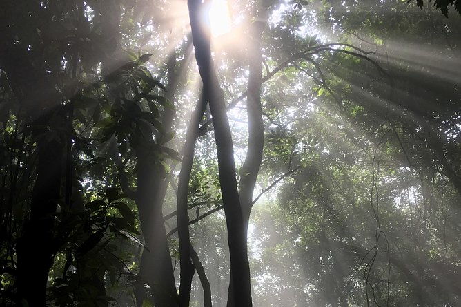 private-hike-to-active-izalco-and-cerro-verde-volcanoes-2-volcanoes-in-one-day