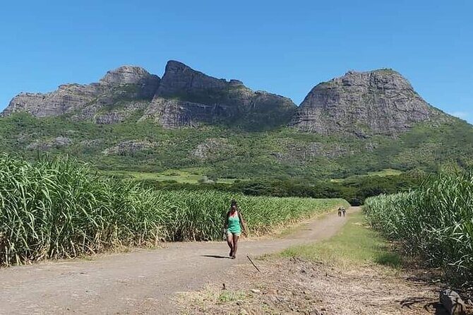 Private hike to the mountain of three mamelles - The Sum Up