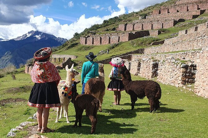private-hike-with-llamas-in-the-andes-of-the-sacred-valley