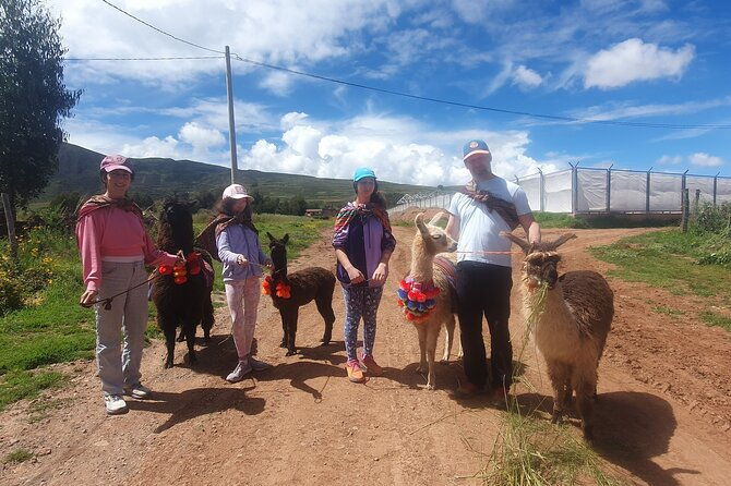 private-hike-with-llamas-in-the-andes-of-the-sacred-valley
