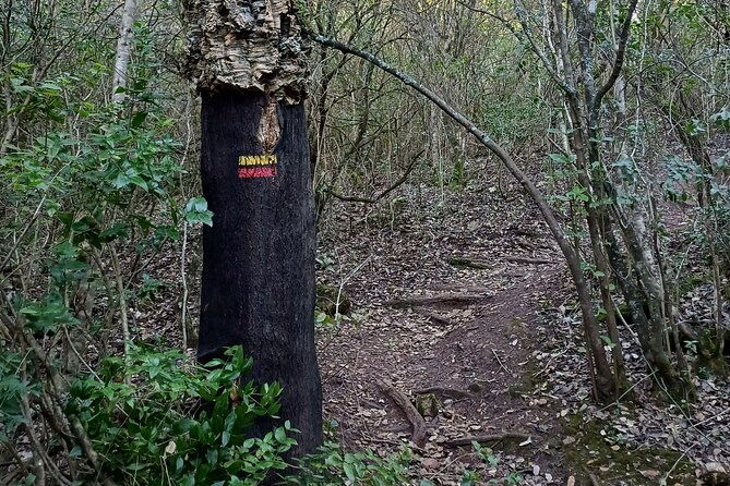 private-hiking-adventure-at-arrabida-mountain