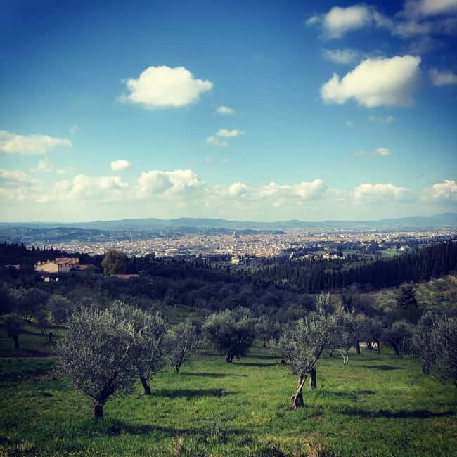 Private Hiking Florence Tour with Wine and Lunch or semi-pri - The Food, Wine, and Local Culture
