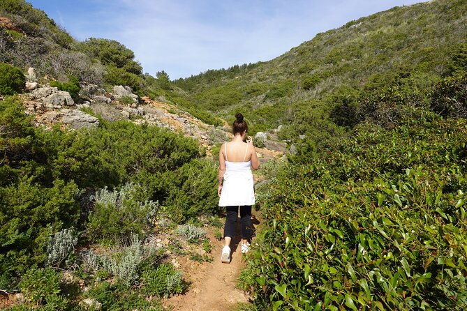 private-hiking-tour-along-the-last-wild-side-of-the-south-coast