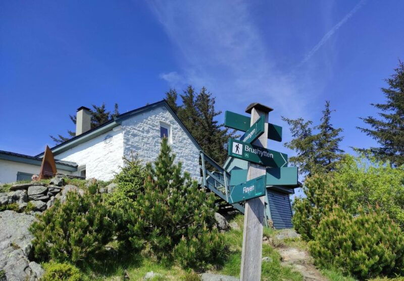 private-hiking-tour-bergen-mountains-like-a-local
