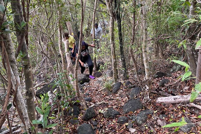 private-hiking-tour-in-british-virgin-island-with-the-best-360-view