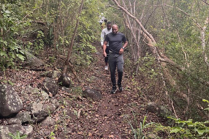 private-hiking-tour-in-british-virgin-island-with-the-best-360-view
