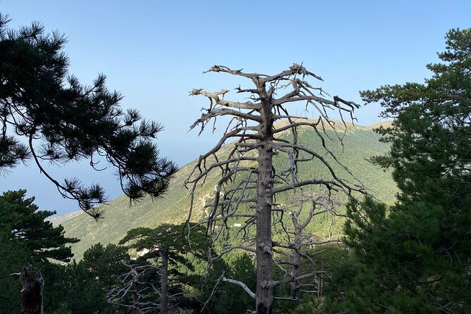 private-hiking-tour-in-cika-mountain