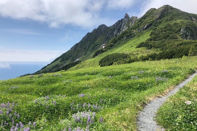 private-hiking-tour-in-sitka-alaska