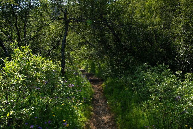 private-hiking-tour-in-the-valley-of-thorsmork