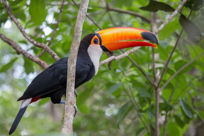 private-hiking-tour-to-lagoinha-do-leste