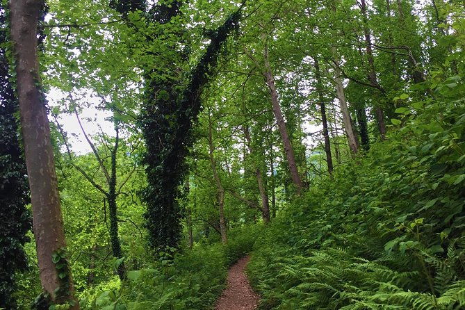 private-hiking-tour-to-mtirala-national-park-from-batumi