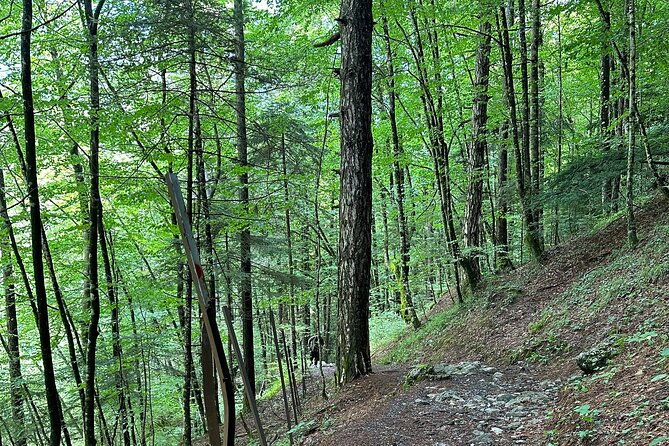 private-hiking-tour-to-olympus-mountain