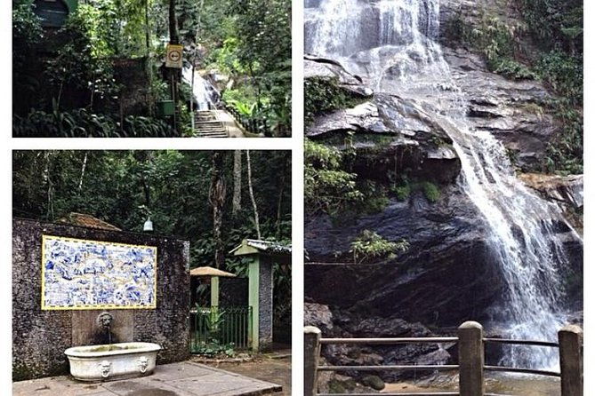 private-hiking-tour-to-tijuca-peak-tijuca-national-park-by-oir-aventura