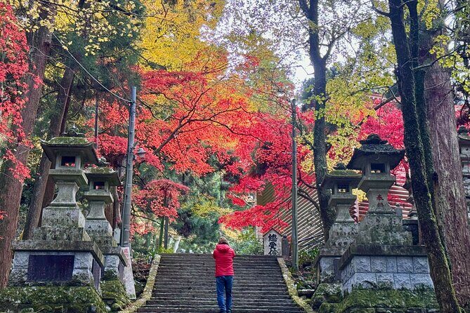 Private Hiking Tour with a certified national guide in Hakone - Exploring Hakone with a Private Certified Guide: A Well-Balanced Hiking Experience