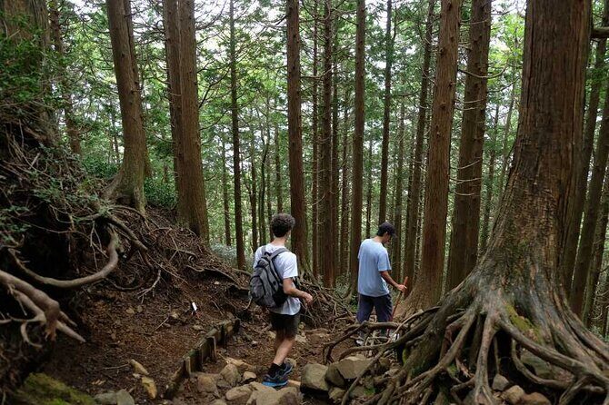 Private Hiking Tour with a certified national guide in Hakone - Who Should Consider This Tour?