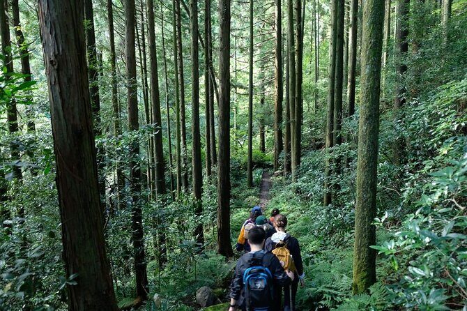 Private Hiking Tour with a certified national guide in Hakone - Practical Details to Keep in Mind