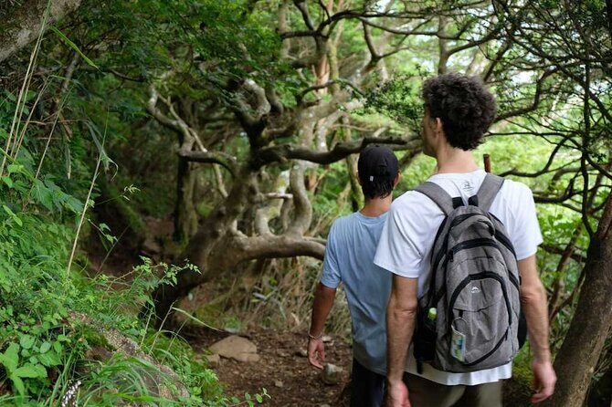 Private Hiking Tour with a certified national guide in Hakone - Frequently Asked Questions