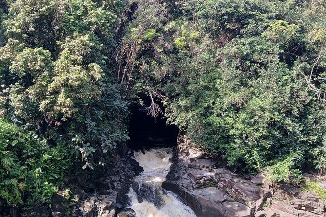 private-hilo-shore-excursion-volcano-national-park-up-to-14