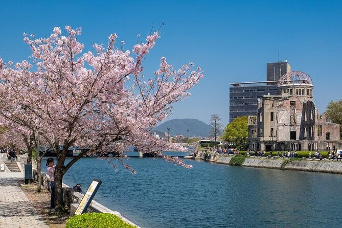 private-hiroshima-cherry-blossom-and-sakura-experience
