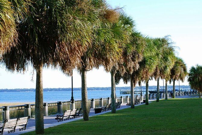 Private Historic Horse & Carriage Tour of Charleston - A Closer Look at the Tour Experience