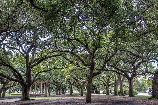 Private Historic Horse & Carriage Tour of Charleston - The Sum Up