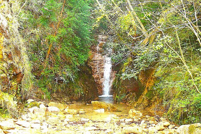 Private Historic Road Hike in the Healing Forest of Arima - Exploring the Private Historic Road Hike in the Healing Forest of Arima