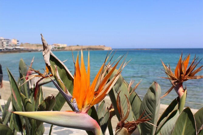private-history-sights-and-food-walking-tour-of-chania-city