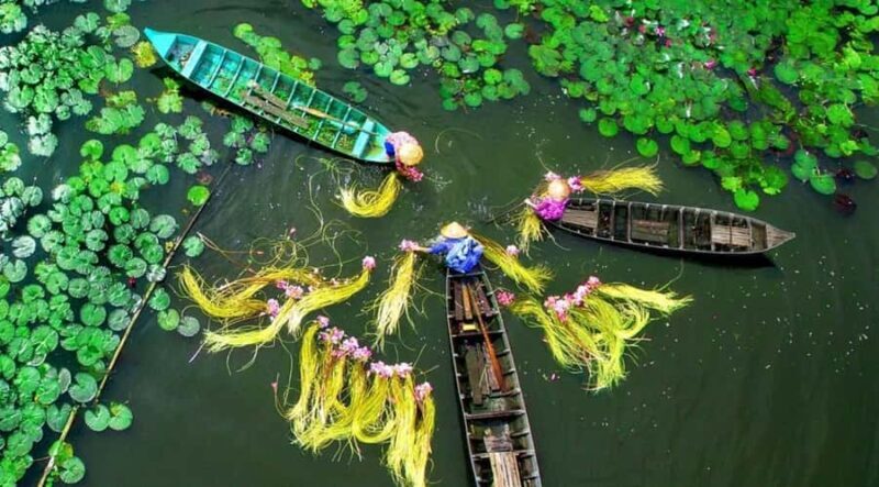 [Private] Ho Chi Minh City & Mekong Delta: 5-Day Guided Tour - Exploring Ho Chi Minh City: The Urban Heartbeat