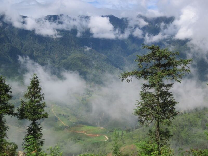 Private Hoang Lien National Park & Tribal Village Trek - Real Traveler Feedback and Tips